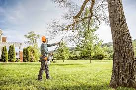 Best Tree Risk Assessment  in Huntland, TN